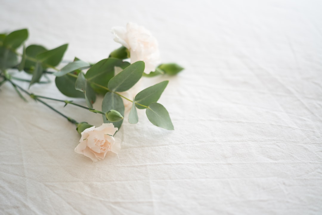 Photo funeral